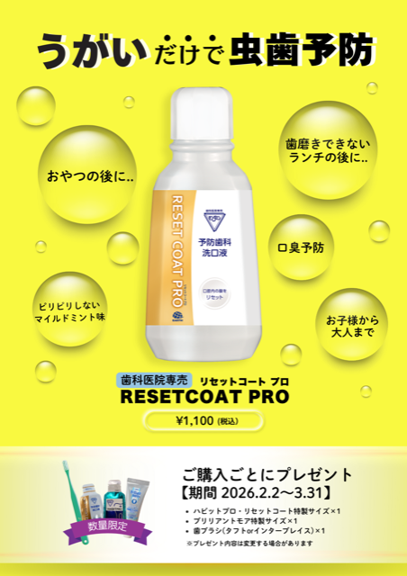 プレゼントキャンペーン